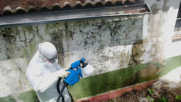 Top rated local Mold Remediation specialists in Media, PA